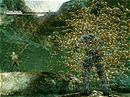 20041205_mts06.gif