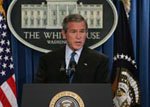 Bush.jpg