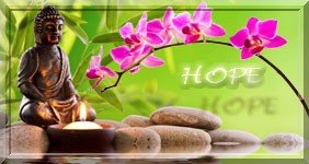 sign-HOPE_ok2.jpg