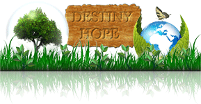 DESTINY-Ban3.gif
