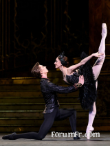 Le Lac des Cygnes (Royal Opera House)