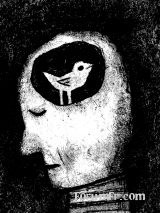 Ai-je le droit d'avoir des droits ?