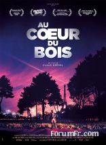 Au coeur du bois